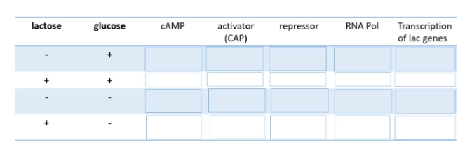 <p>Fill in the table</p>
