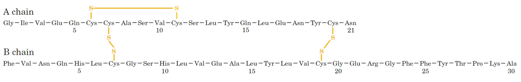 <ul><li><p>sequence could be obtained indirectly via DNA sequencing, however, post-translational modifications may occur</p></li><li><p>samples must first be purified before sequencing can occur</p></li><li><p>Edman degradation can be used to sequence amino acids from N-terminus and carboxypeptidase for C-terminus</p></li></ul>