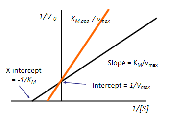 <p>Based on the figure what type of inhibition occurs? (look at orange line)</p><p>a) competitive inhibition</p><p>b) non-competitive inhibition</p>