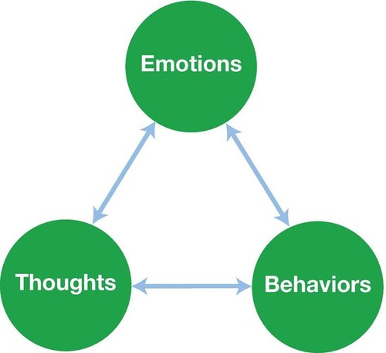 <p>Thought, Emotion, and Behavior</p>