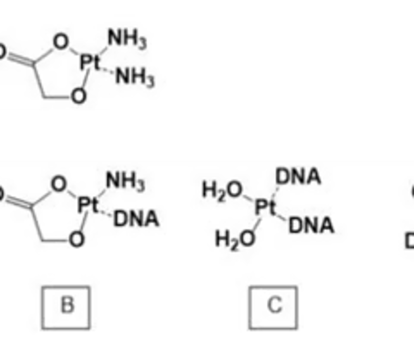 <p>Nedaplatin is used in Japan as an oncology agent. Based on your knowledge of this drug class, which structure shows mono-alkylated DNA by this agent?</p>