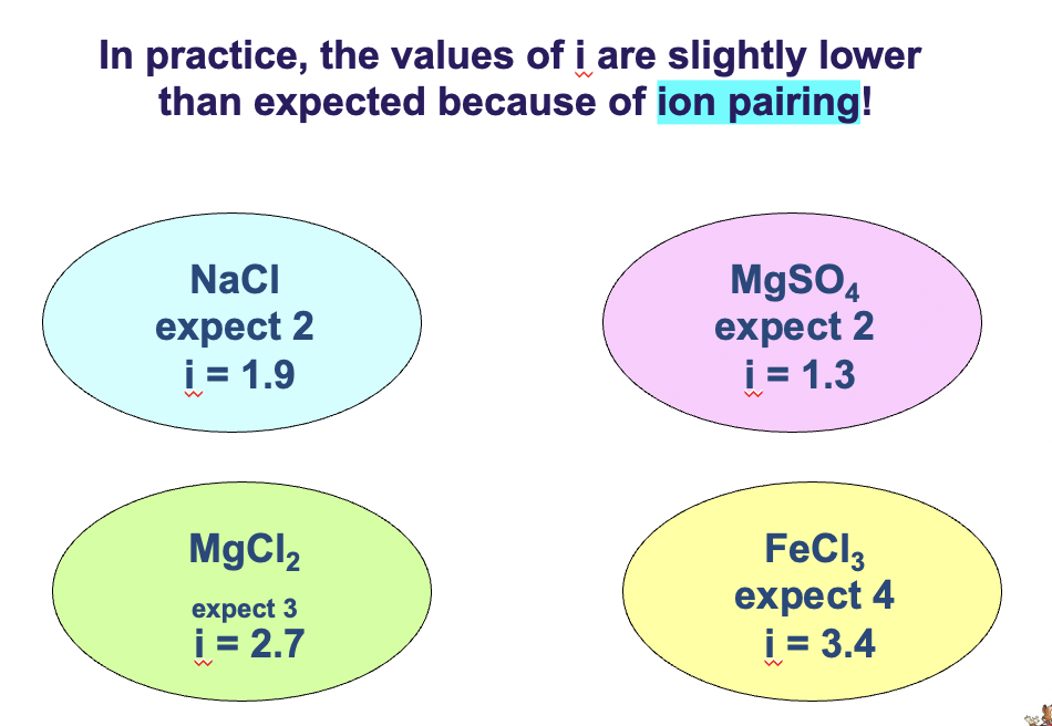 <p>i = actual no. of particles in solution after dissociation (expect 2 for Na+ Cl-) / no. of formula units initially dissolved in solN (1 for every NaCl)</p>
<p>NaCl expect i = 2 but i = 1.9</p>
<p>MgCl2 expect i = 3 but i = 2.7</p>
<p>higher the charge greater the attraction, therefore the number is slightly lower</p>
<p>in practice the values of i are slightly lower than expected because of ION PAIRING!</p>