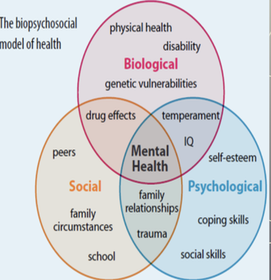 <p>-Most modern psychologists use more than one perspective when treating patients.</p>