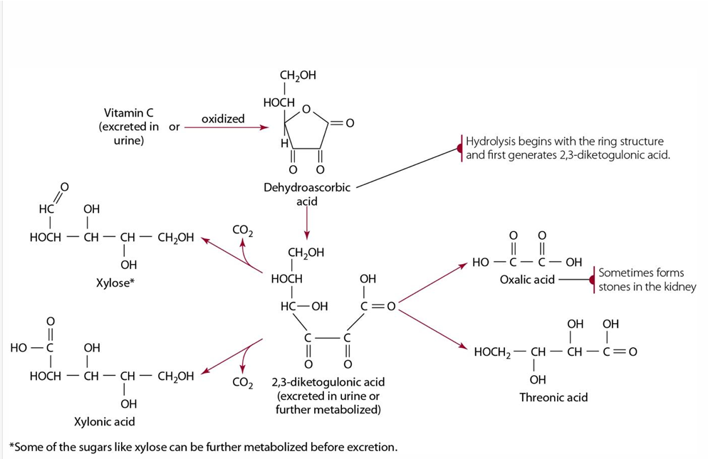 <p>product of diketogulonic acid &amp; can causes stones</p>