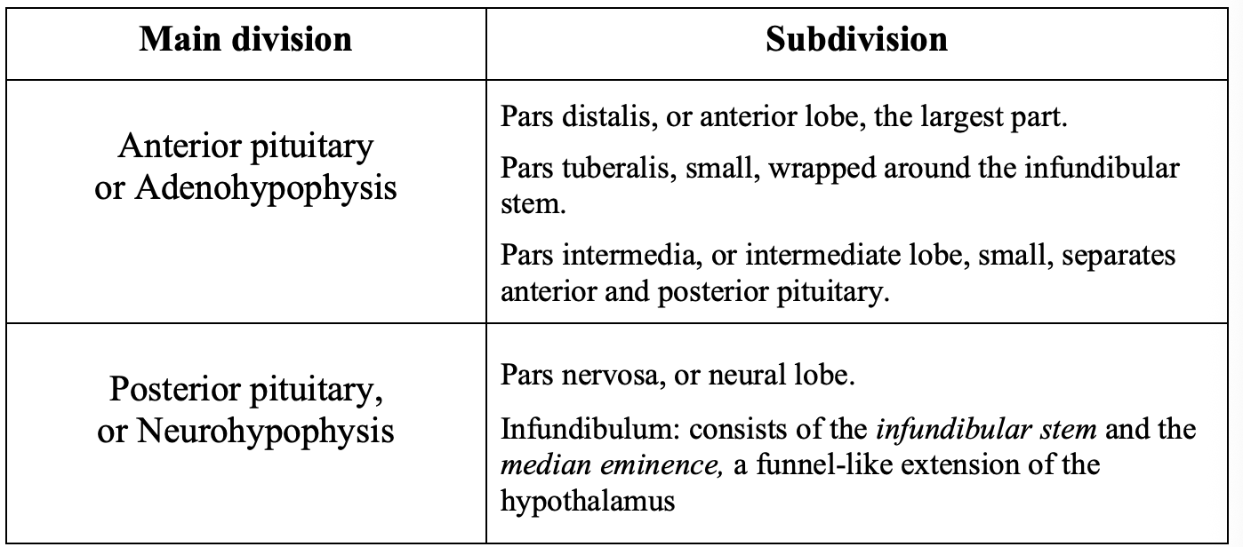 <p>Where found and strucuture</p>