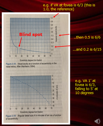<p>internal: retinal eccentricity </p>