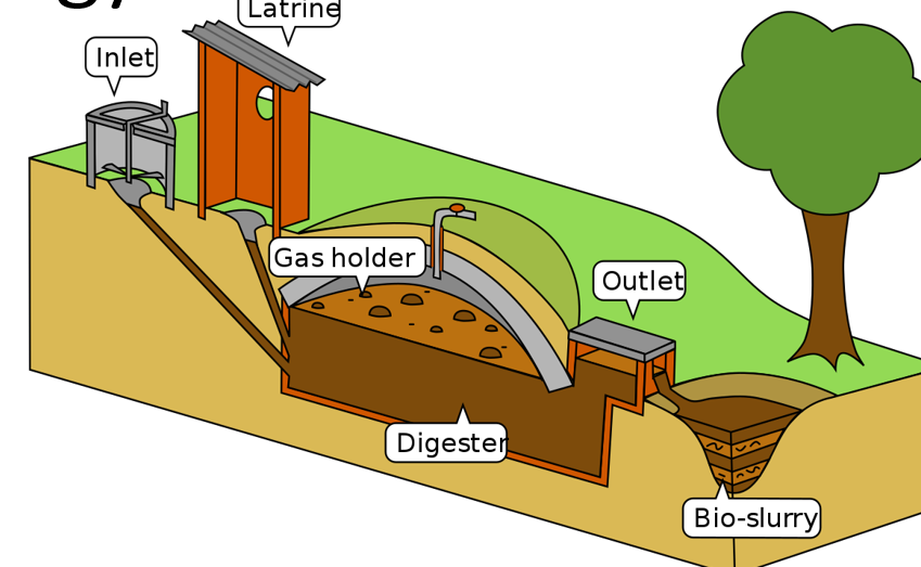 <ul><li><p>Gas produced from the breakdown of plant and animal waste in the absence of oxygen, usually containing ~60% methane</p></li></ul><p></p>