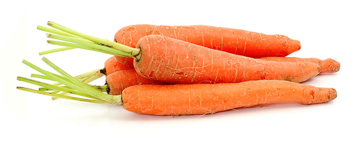 <p>Carrot</p>