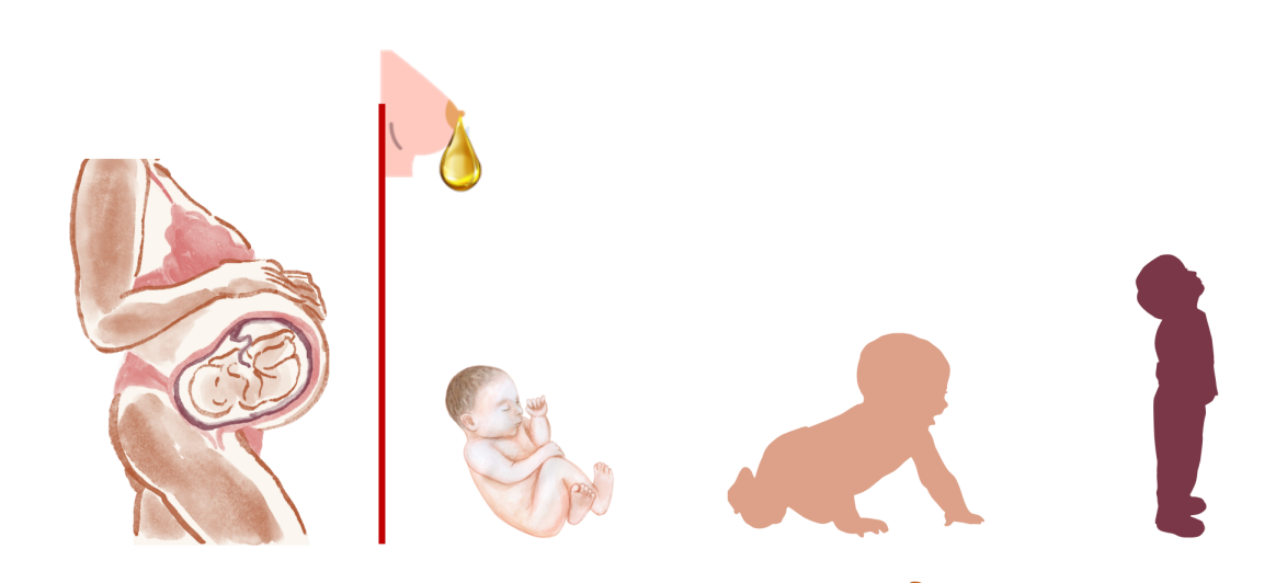 <p>Is colostrum necessary for the newborn to adapt to extra-uterine life and lay the foundation for healthy life?</p>