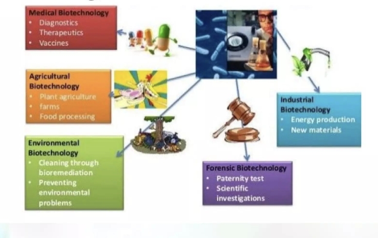 <p>main application: health, agriculture, industry, environmen</p>