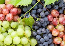 <p>Grape</p>