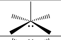 <p>Groups, EG, # of Lone Pairs, MG, Angles, “P” or “NP”, hybridization </p>