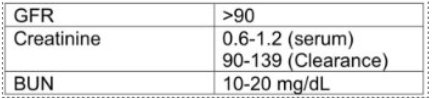 <p>What are some of the causes of Elevated Serum Creatinine Levels?</p>