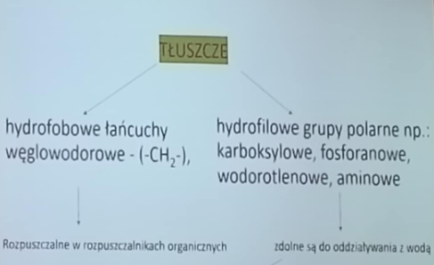 <p>mają:</p><ul><li><p><strong>Hydrofobowe łańcuchy węglowodorowe -CH2- </strong>(rozpuszczalne w rozpuszczalnikach organicznych)</p></li><li><p><strong>Hydrofilowe grupy polarne np. karboksylowe, </strong>fosforanowe, wodorotlenowe, aminowe (zdolne do oddziaływania z wodą)</p></li></ul><p></p>