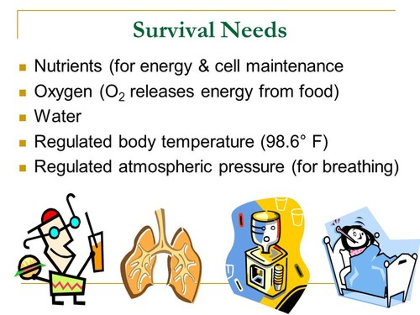 <p>nutrients, oxygen, water, normal body temperature, appropriate atmospheric pressure</p>