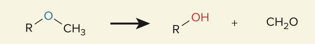 <p>Fármacos que sufren <strong>reacciones de oxidación: O-desalquilación </strong>en su metabolismo:</p>