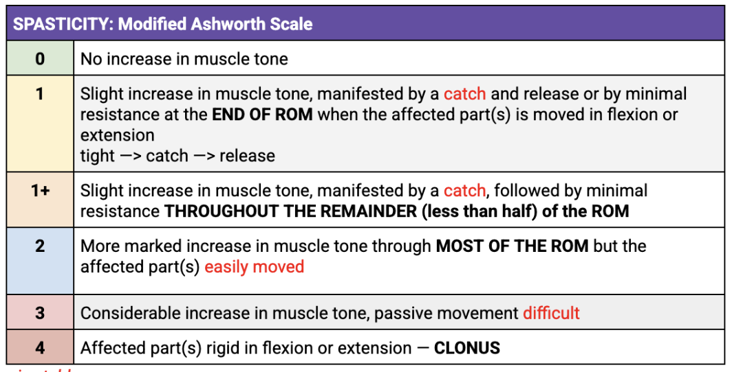 <p><span>O&gt; Palpation&gt; Gr 1 spasticity on R hamstrings</span></p><p><span>O&gt; spasticity &gt; grade 1 on R biceps</span></p>
