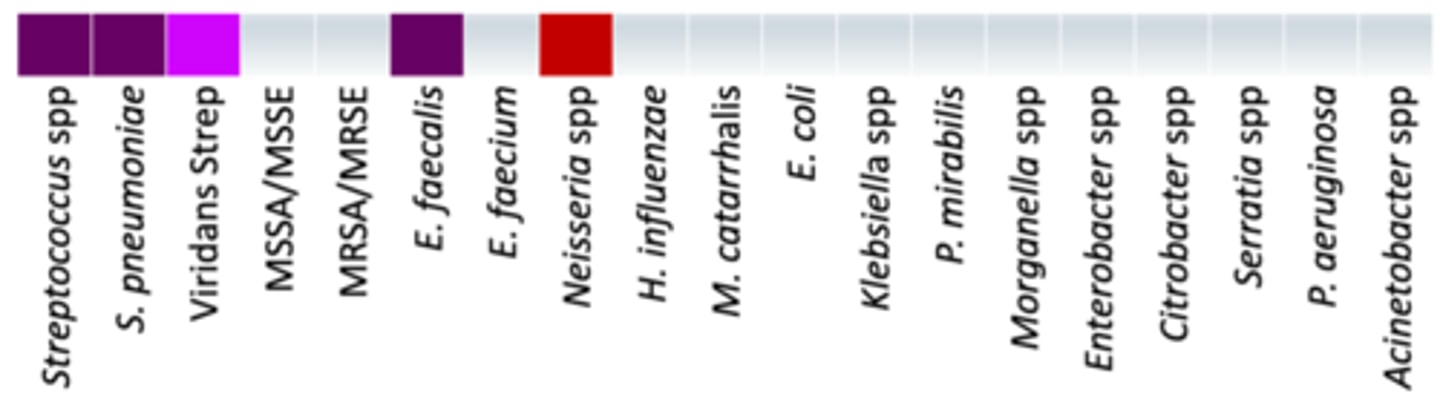 <p>• Anaerobes: +/-</p><p>• Miscellaneous: </p><p>- T. pallidum (Syphilis)</p><p>- B. burgdorferi (Lyme) </p><p>• Very little coverage - only covers Streptococcus spp, S. pneumonia. E. faecalis and Nesseria spp</p>