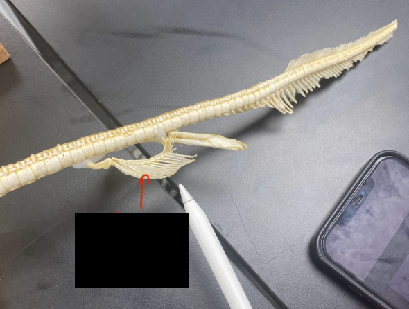 <p>What part is this</p>