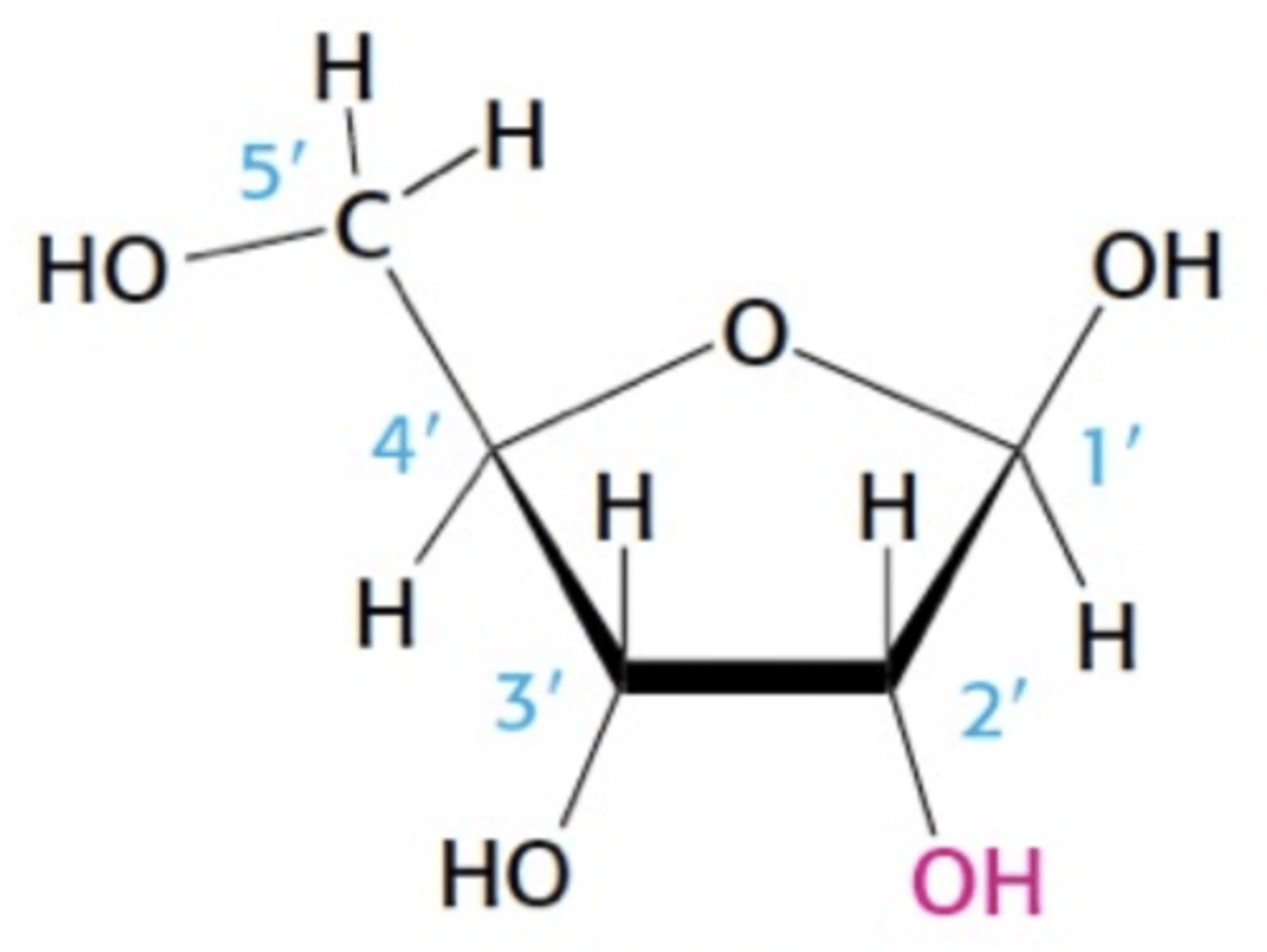 <p>Name this structure</p>