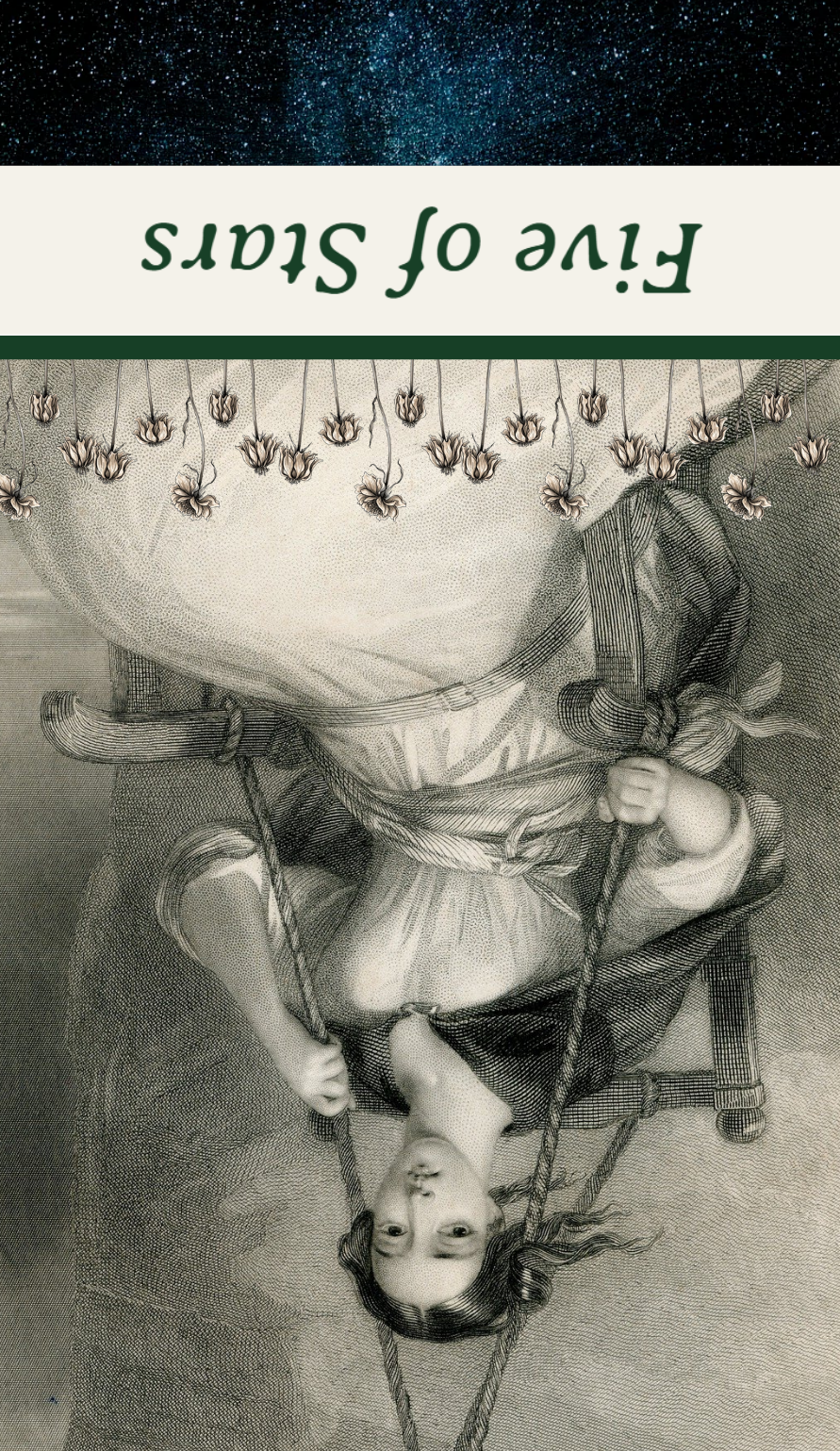 <p>Five of Stars Reversed</p>