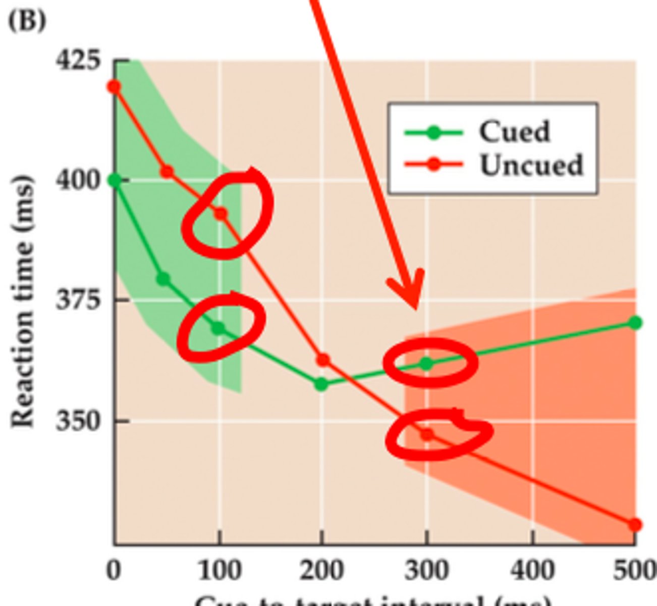 <p>at short cue to target intervals:</p><p>● Valid cue facilitation</p><p>At long cue-to-target intervals (&gt;= 300 ms)</p><p>● Valid cue Inhibition of return</p>