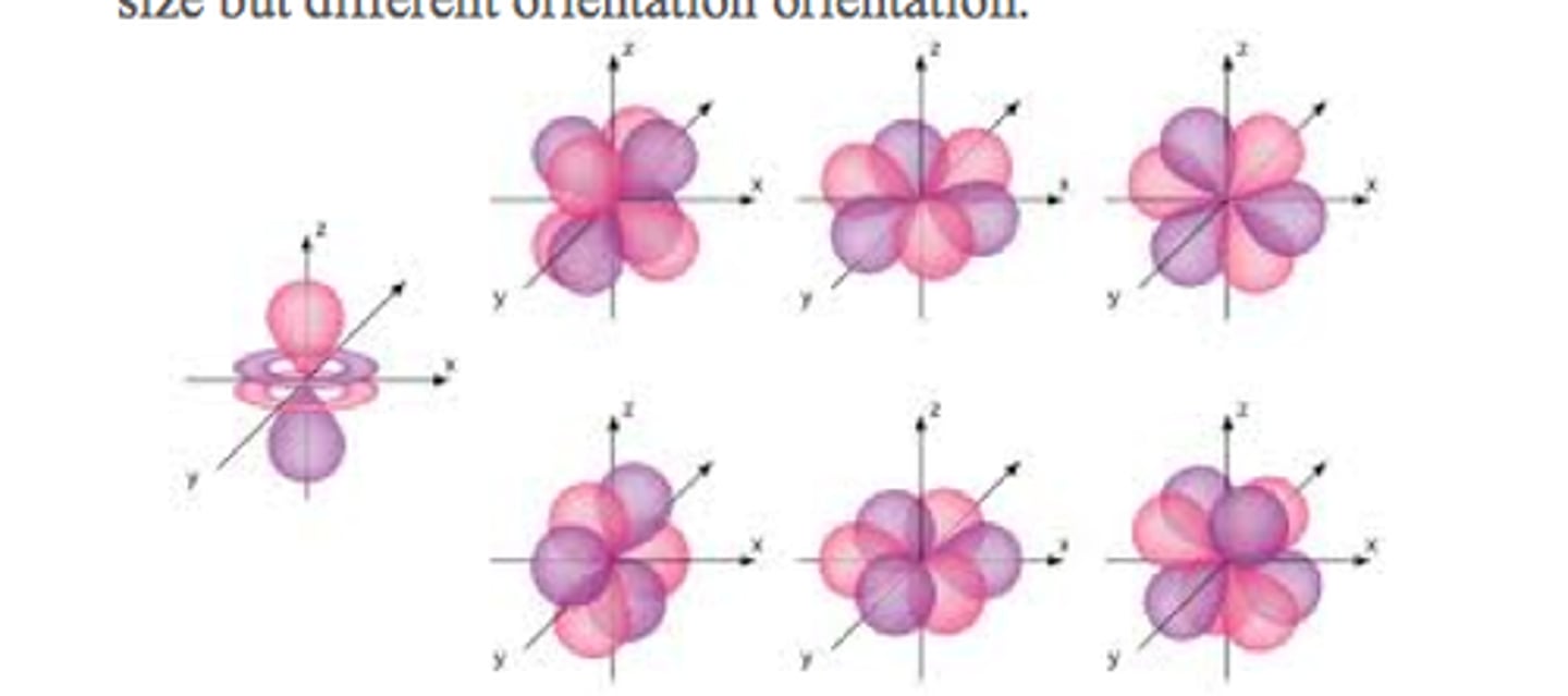 <p>vary in shape</p><p>each shell with f orbitals has seven f orbitals of the same size but different orientation</p>