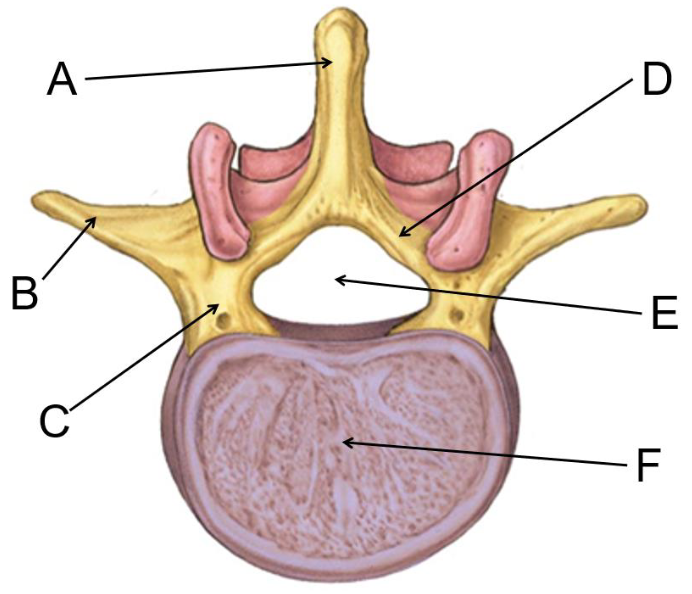 <p>What is D?</p>