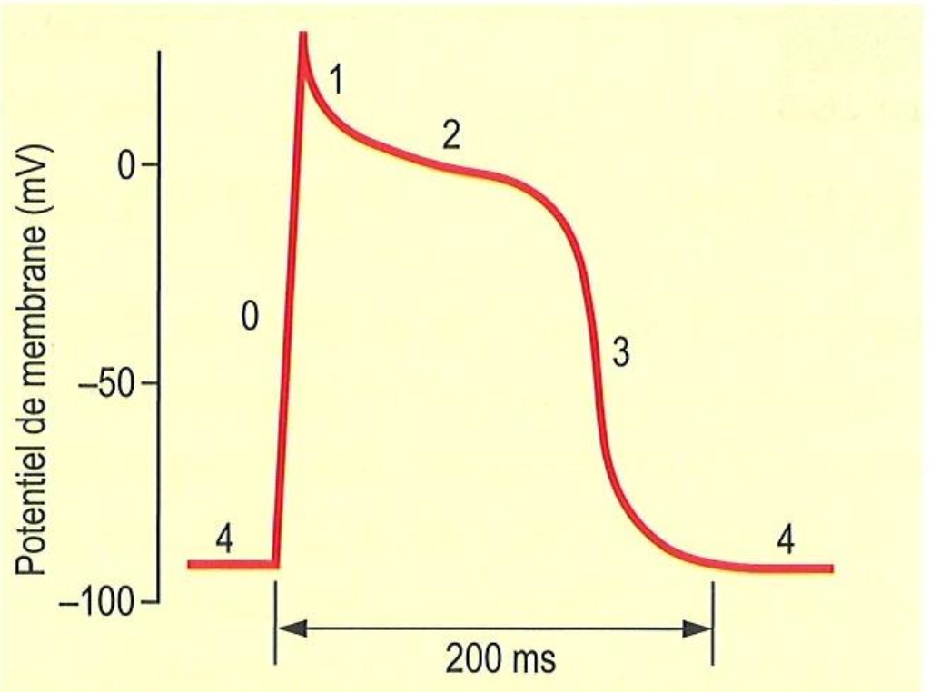 <p>In terms of channel activity, what happens at 1</p>