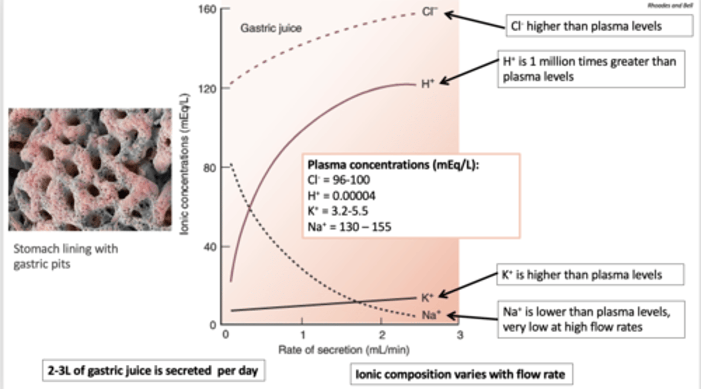 <p>K+ is higher than plasma levels</p>