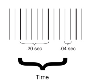 <ul><li><p><strong>Small square</strong> = 0.04 sec (horizontally)/ 1mm (vertically) </p></li><li><p><strong>Large square</strong> = 0.20 sec (5 small squares) / 5mm </p></li></ul><p></p>