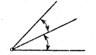 <p>Adjacent Angles</p>