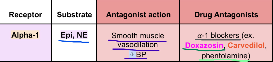 <p>– Tip Gal p. 46<br>- location: <span style="color: rgb(236, 119, 119);">Smooth muscles</span>, including <span style="color: rgb(242, 10, 10);">blood vessels</span><br>-&nbsp;<strong>↑ vasodilation </strong>to<strong> ↓ BP</strong><br><span style="color: rgb(237, 105, 12);"><strong>Carvedilol</strong></span>:&nbsp;<span style="color: red;">beta-1</span>&nbsp;and&nbsp;<span style="color: rgb(240, 159, 198);">beta-2</span> <strong>blocker</strong>&nbsp;&amp;&nbsp;<span style="color: rgb(45, 235, 86);">alpha-1</span> <strong>blocker<br></strong><span style="color: rgb(234, 52, 125);"><strong>Doxazosin</strong></span>: non-selective&nbsp;<span style="color: rgb(45, 235, 86);">alpha-1</span>, <span style="color: rgb(64, 100, 236);">alpha 2</span>&nbsp;<strong>blocker</strong>&nbsp;<br><span style="color: rgb(97, 205, 170);">phentolamine</span>: selective&nbsp;<span style="color: rgb(45, 235, 86);">alpha-1</span>&nbsp;<strong>blocker</strong>&nbsp;</p>