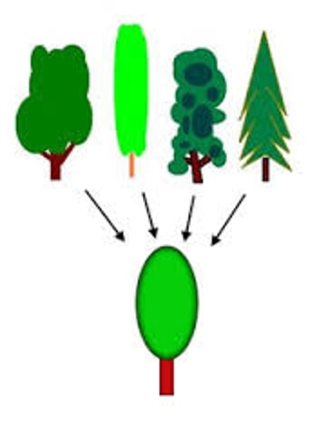 <p>unconscious encoding of incidental information, such as space, time, and frequency, and of well-learned information, such as word meanings</p>
