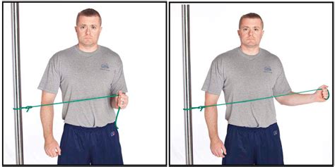 <p>What are the prime moving muscles of the shoulder <u><strong>joint</strong></u> involved in <strong><em>outward rotation</em></strong>?</p>