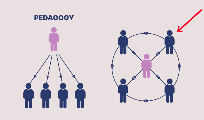 <p><span style="background-color: transparent;"><span>andragogy</span></span></p>