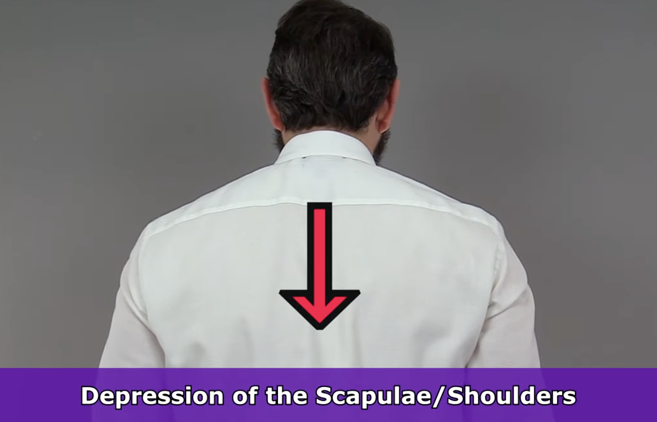 <p>shrug to normal posture </p>