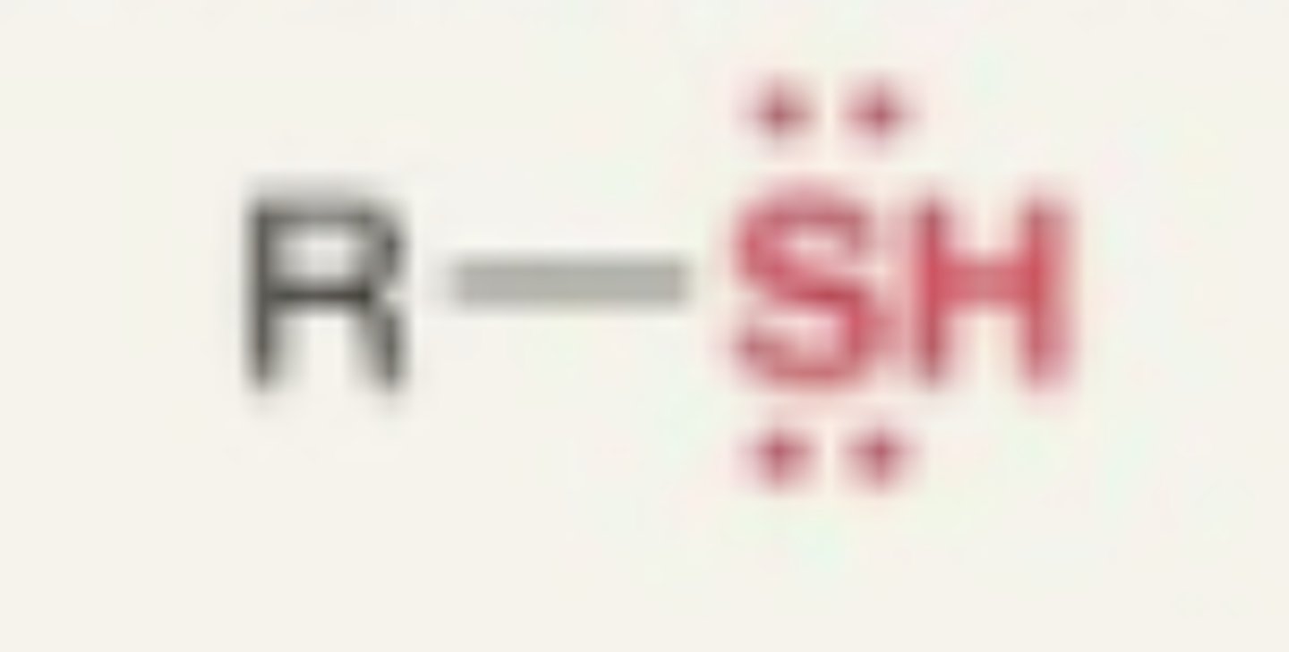 <p>- sulfur and hydrogen + carbon</p>