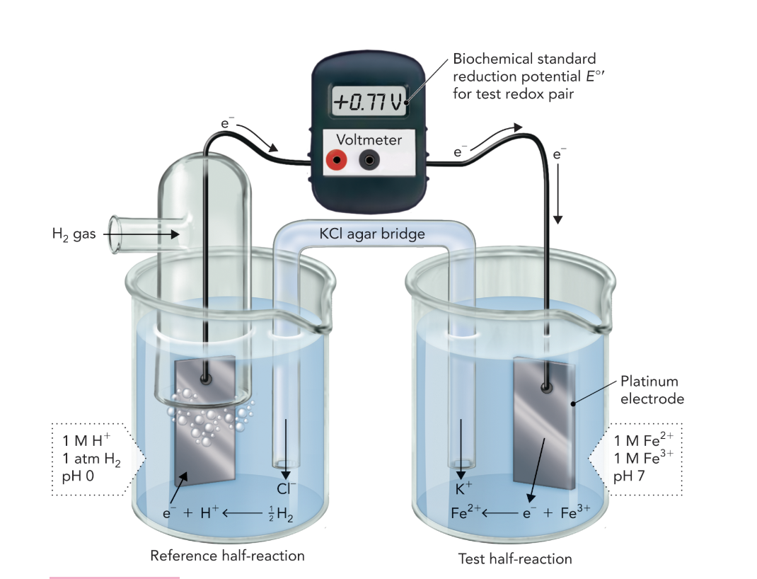 <p><strong>Q:</strong> What does Figure 10.5 demonstrate about electron flow?</p>