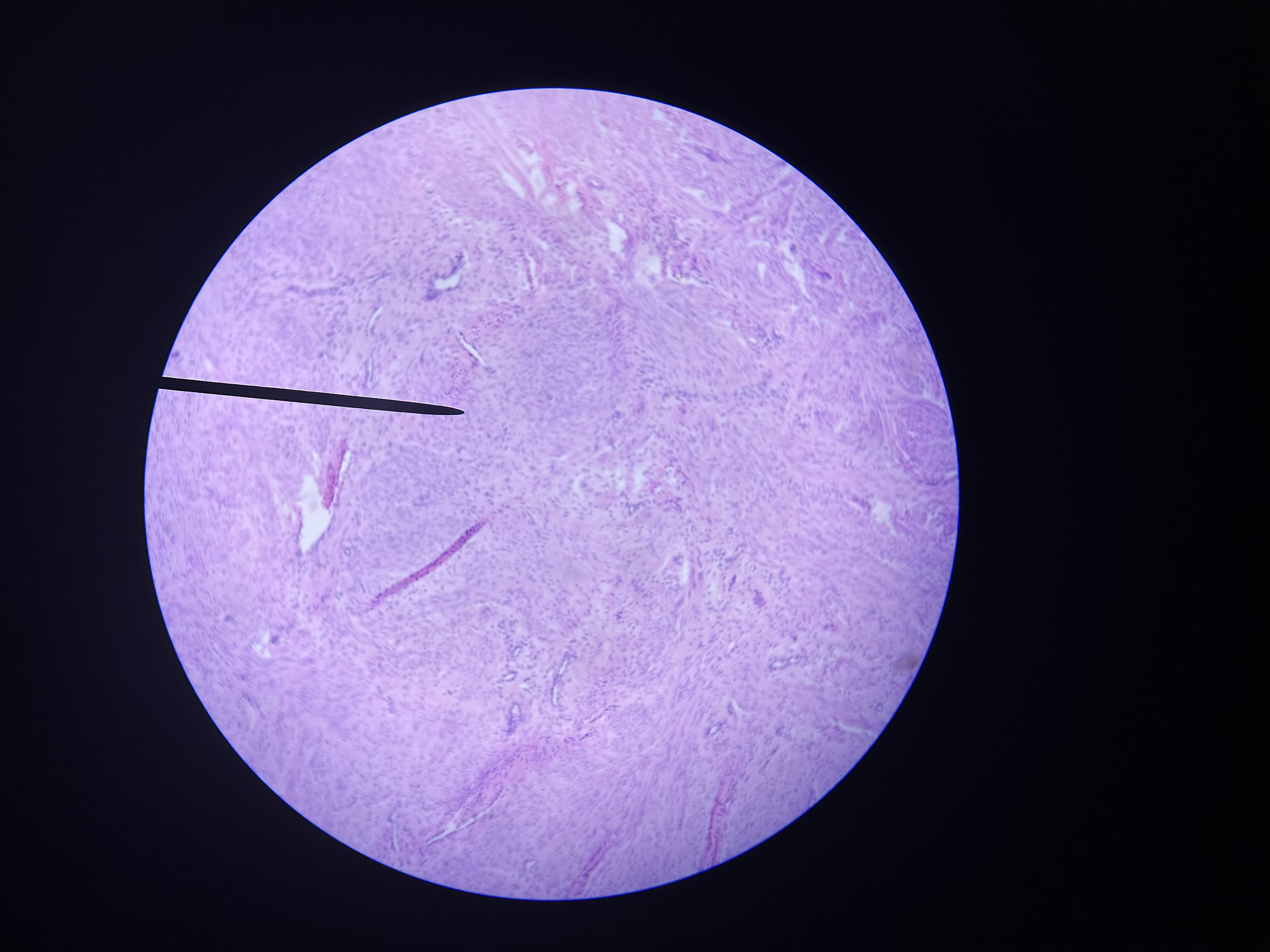 <p>What is this?</p>