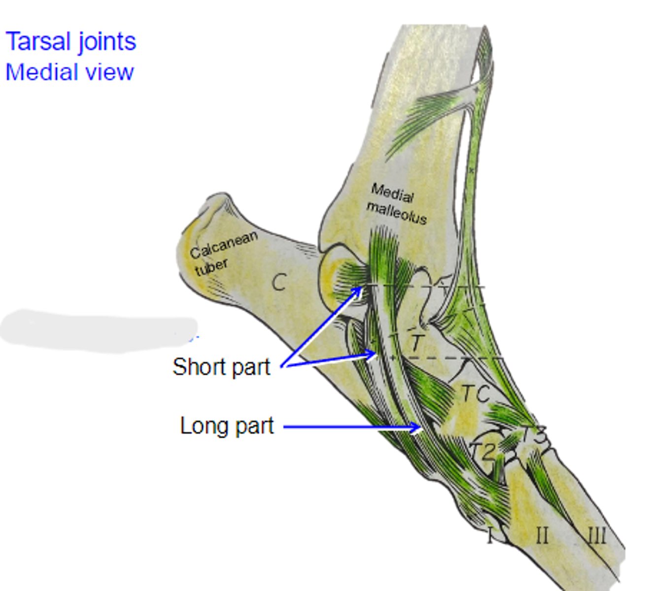 <p>What is shown?</p>