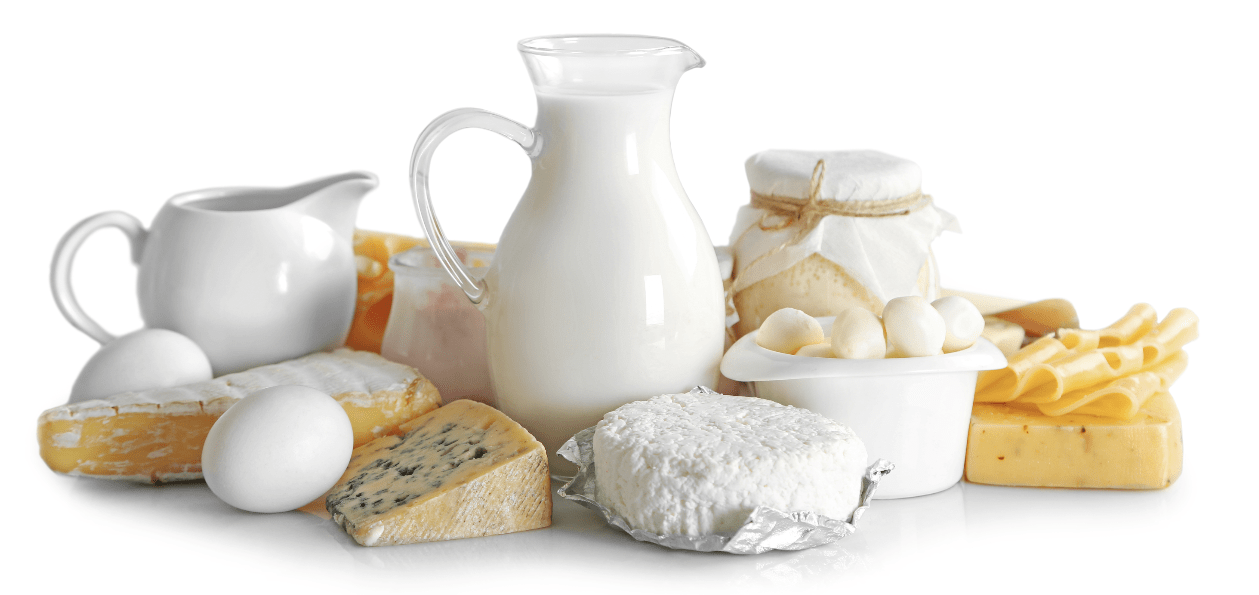 <p>het zuivelproduct (melkproduct)</p>