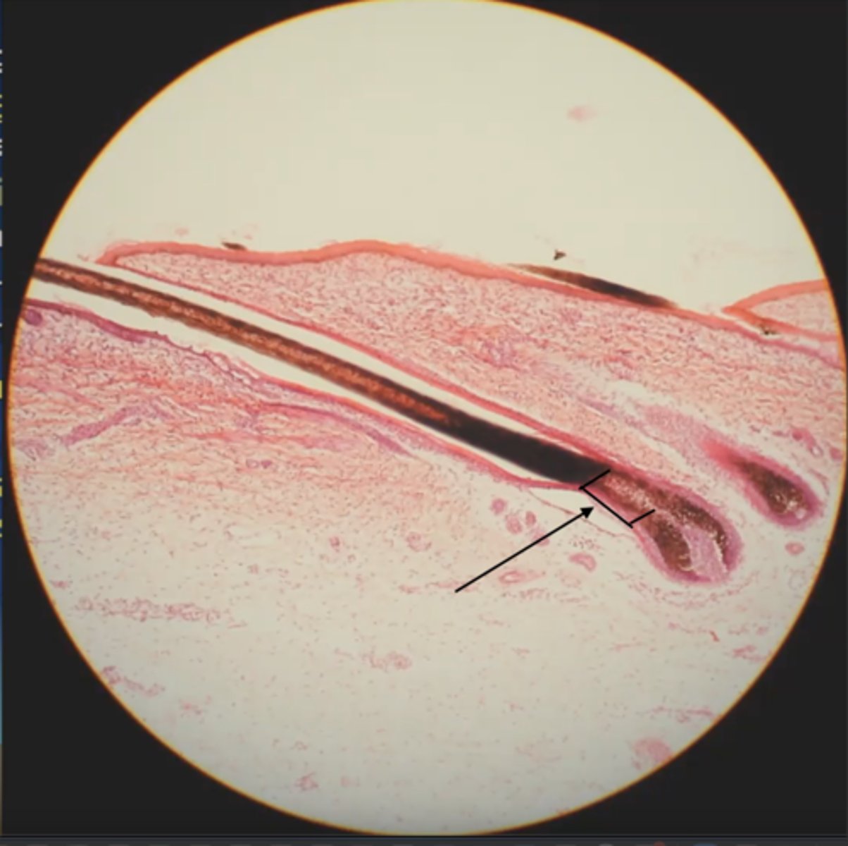 <p>What is this called?</p>