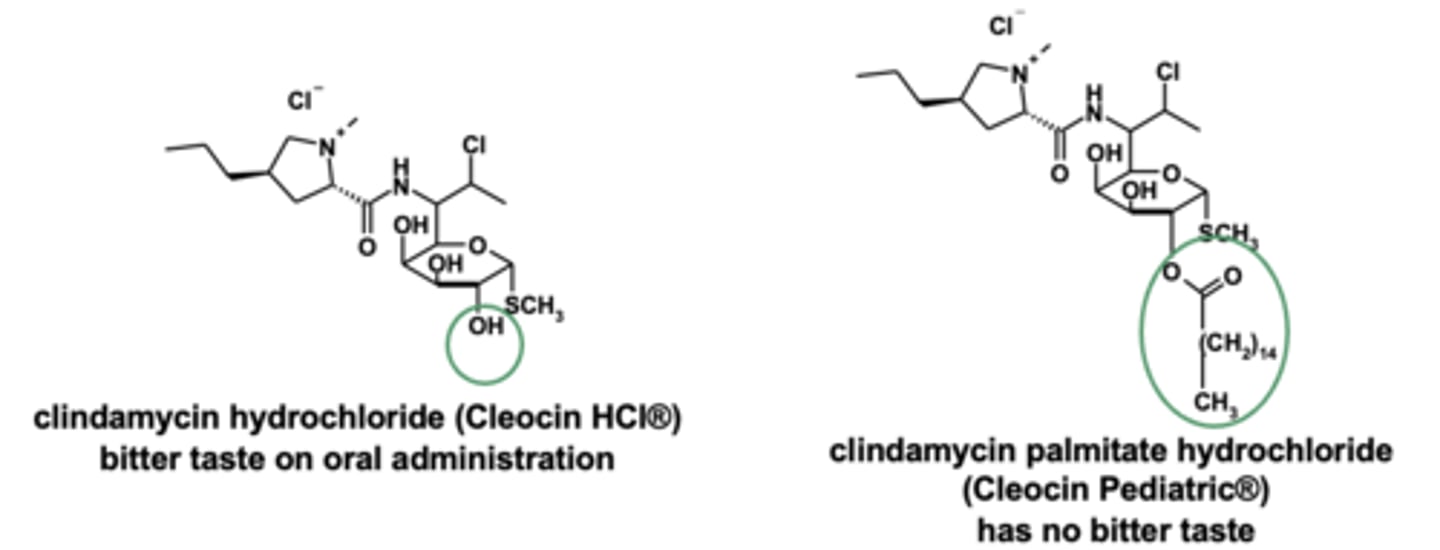 <p><strong>clindamycin palmitate HCl</strong> masks bitter taste</p>