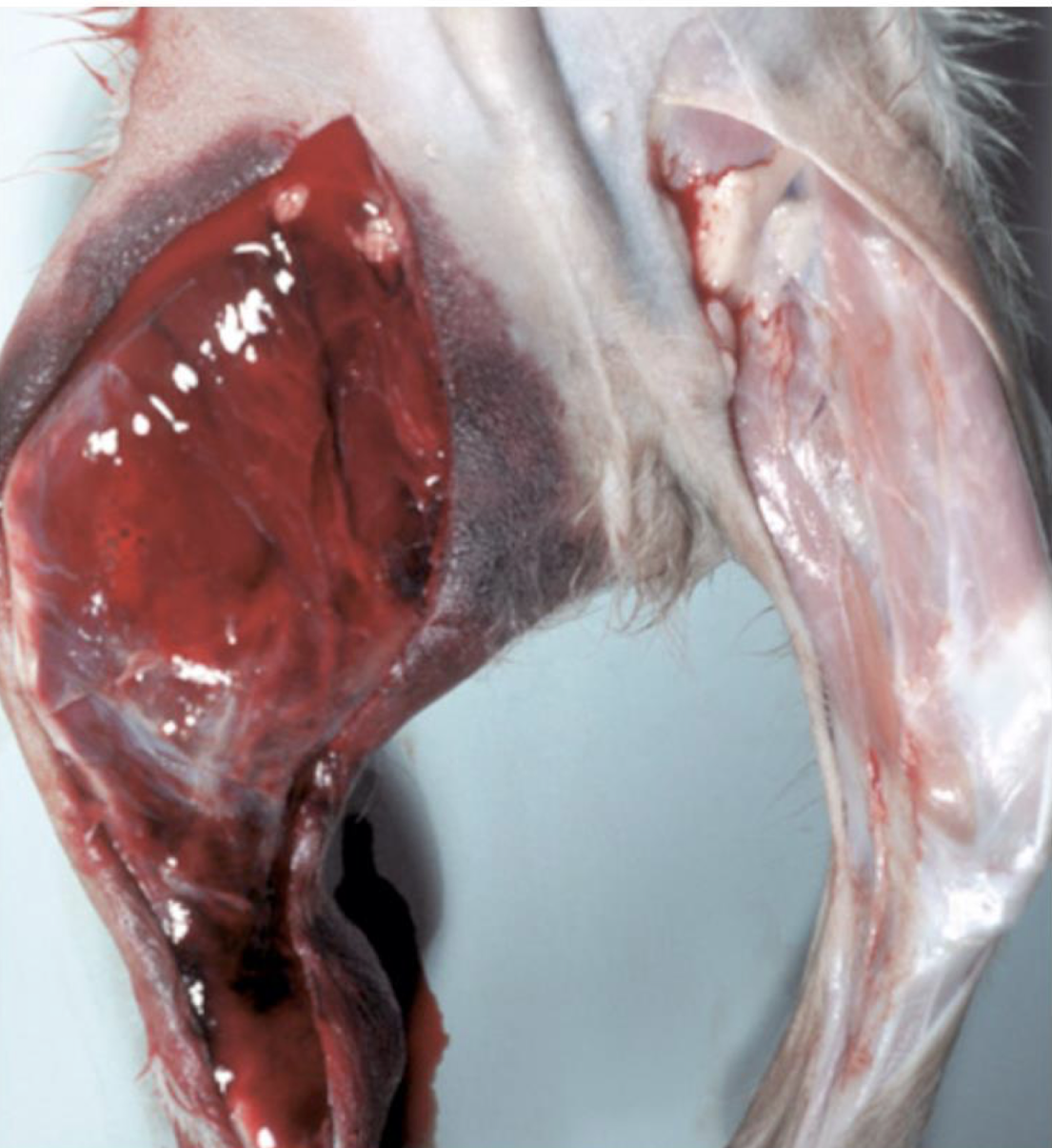 <p>What is this image showing?</p>