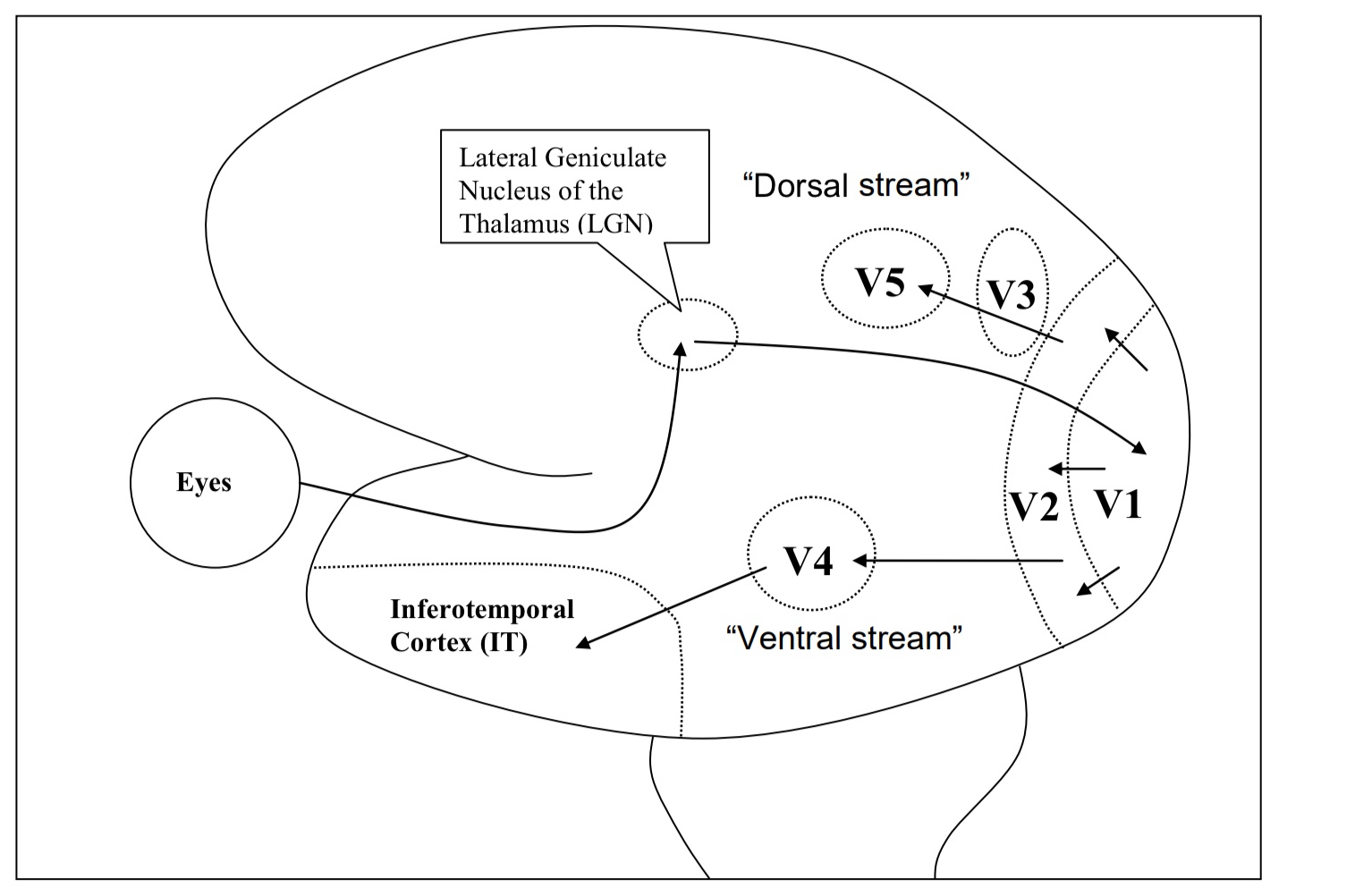 <p>What does this diagram show?</p>