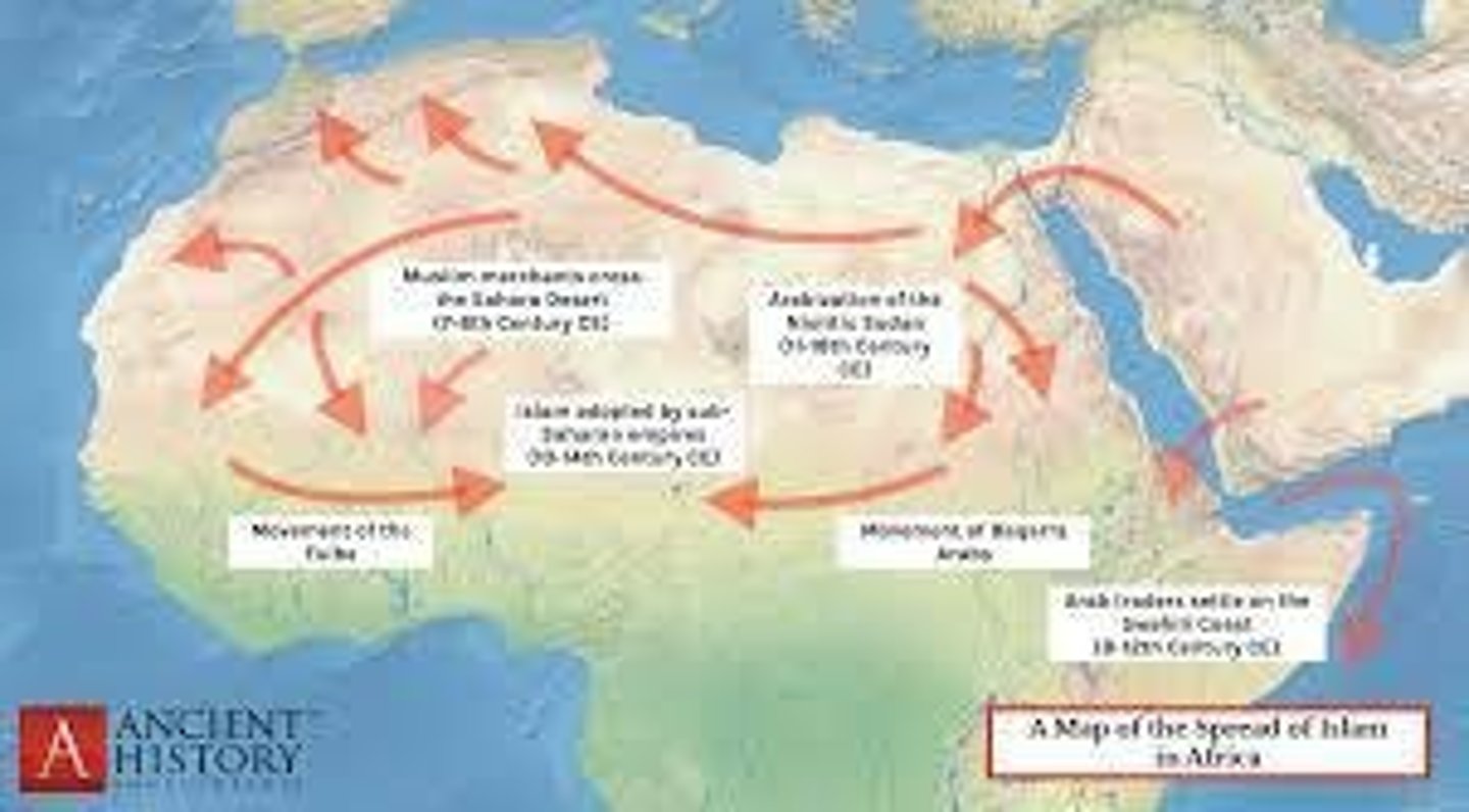 <p>Islam spread through maritime trade routes.</p>