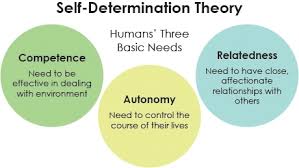 <p>Self-Determination Theory <span style="line-height: 25.4833px;"><span>(Deci and Ryan, 1985) </span></span></p>