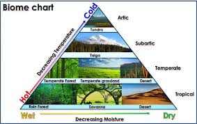 <p>level 1: tundra; level 2: taiga; level 3: temperate forest, temperate grassland, temperate desert; level 4: rain forest, savanna, tropical desert </p>