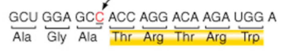 <p>deletion or insertion of a number of bases that is <em>not</em> a multiple of 3. Usually introduces premature STOP codons in addition to lots of amino acid changes</p>